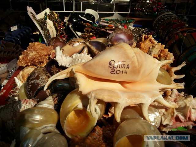 Дорога из Киева и из Москвы в Ялту.