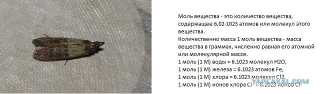 Слов не хватает!