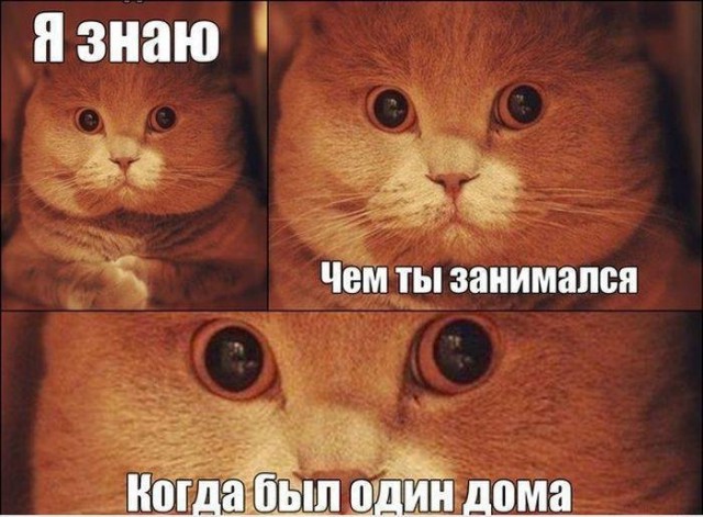 Комментарии из соцсетей, картинки
