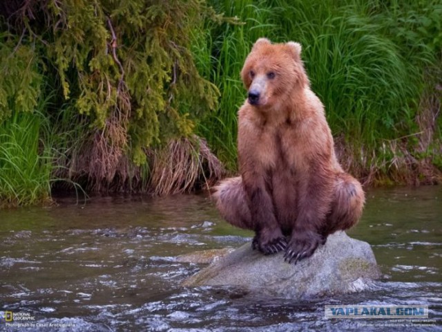 Лучшие фотографии года