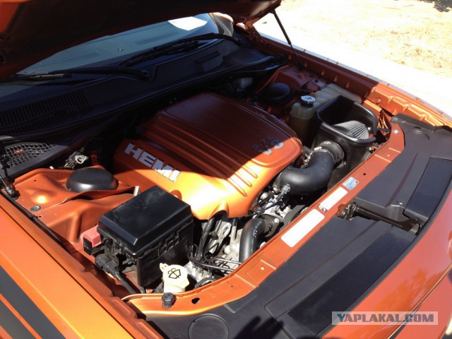 Ежегодная выставка Scios Auto Club
