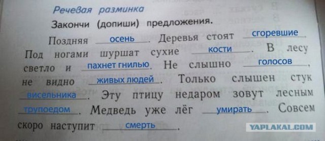 Ежик и объективно мыслящая маленькая девочка