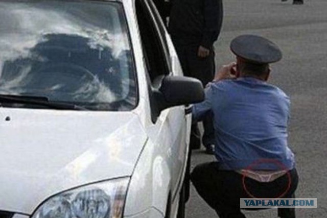 Женская модная одежда