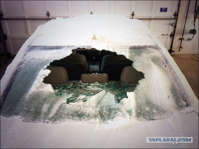 Необычные авто аксессуары.