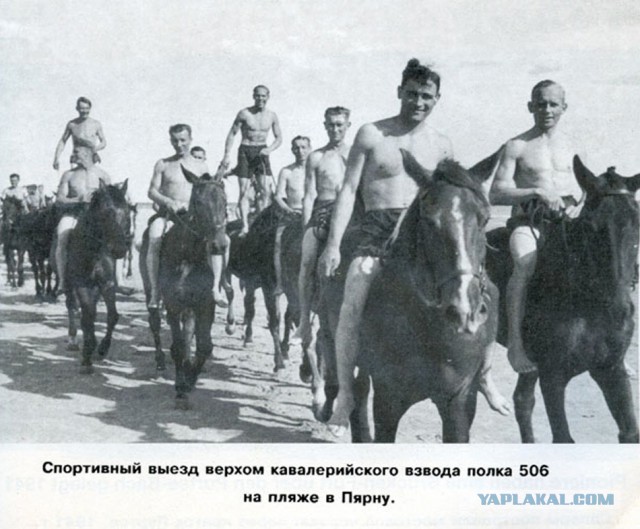 Фото с мест Волховской битвы (Вермахт)