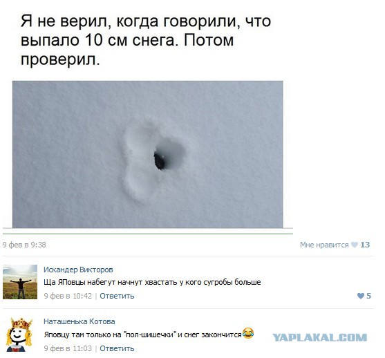 Смешные комментарии из социальных сетей 12.02.2016