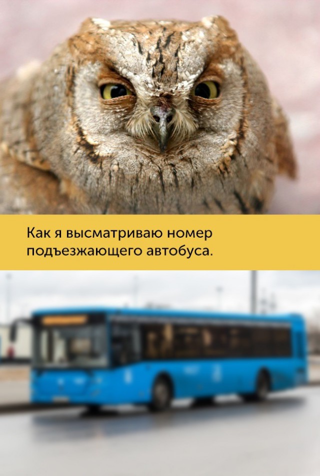 15 проблем, которые поймут только люди с плохим зрением