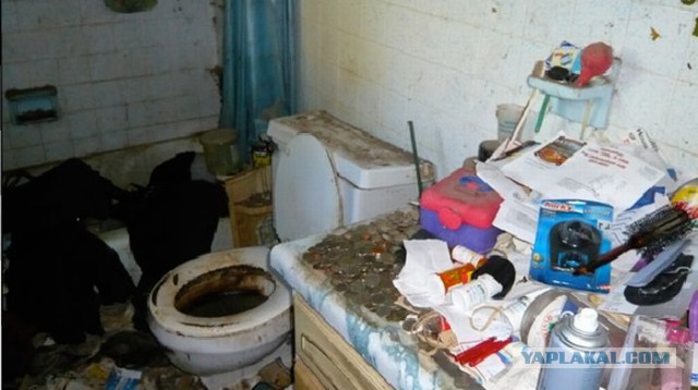 Когда порядок в доме возведен в ранг абсолюта