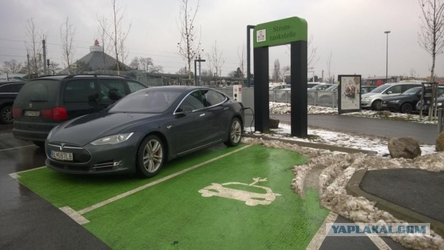 Калина! Что ты делаешь?