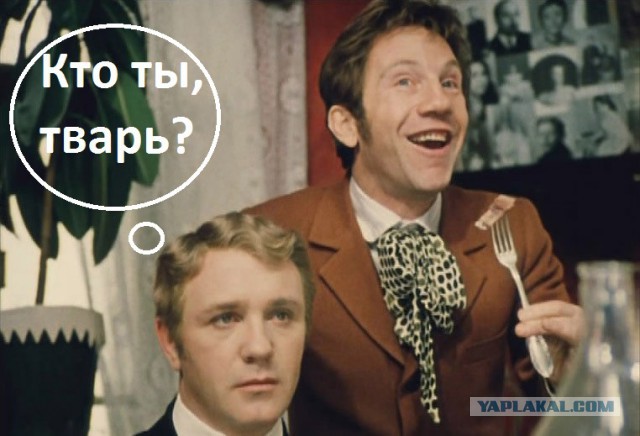 Йоланди Фиссер