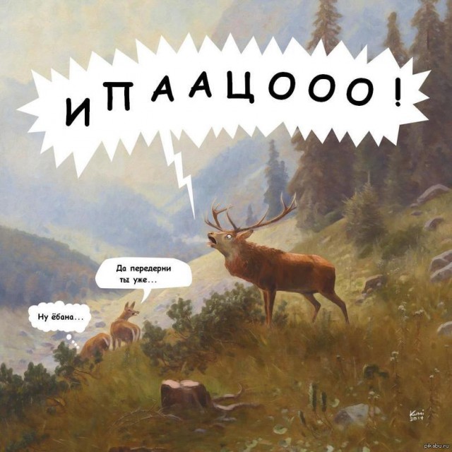 Видео.Напал доберман...?!