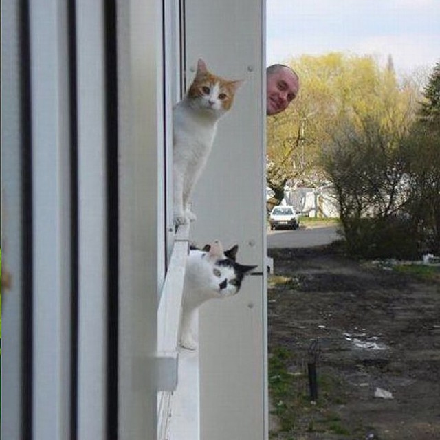 Прикольные картинки