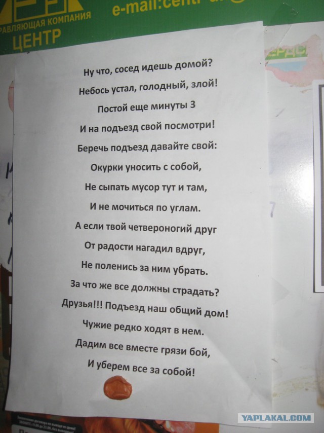Соседей, как и родителей не выбирают