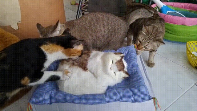 Что ты такое?