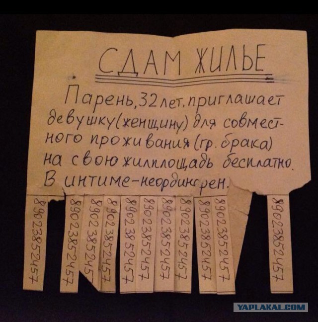 Для поддержания молодости женщинам необходим регулярный секс