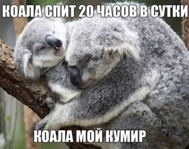 Всякая всячина