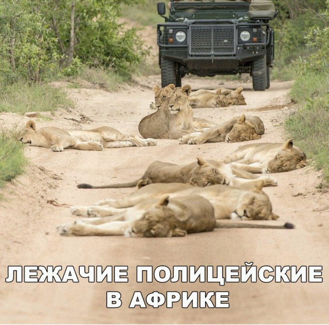 Нестандартный юмор