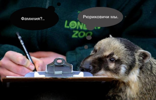 Полная перепись зоо-населения