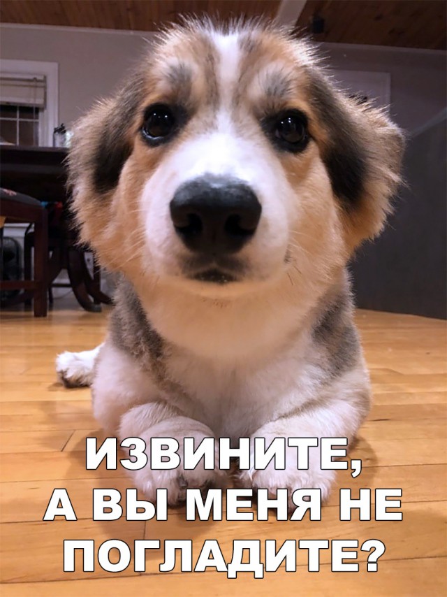 Нестандартный юмор