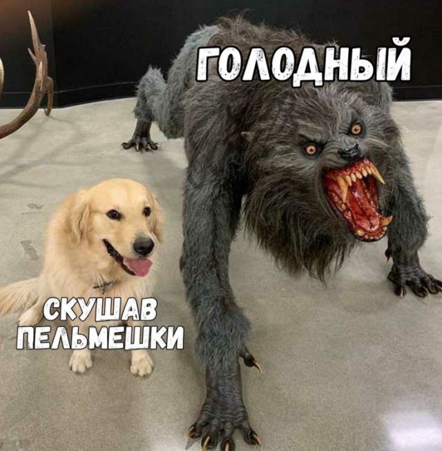 Немного картинок для настроения