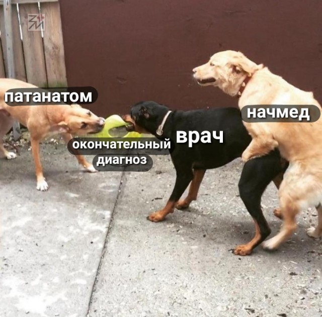Юмор от паблика "Злой медик"