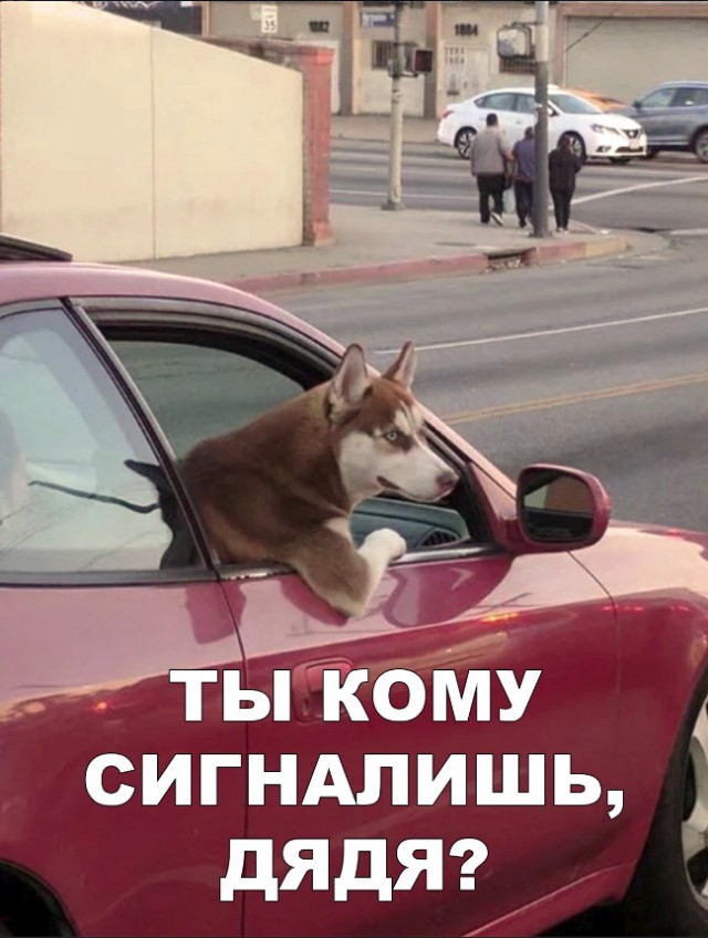 Нестандартный юмор