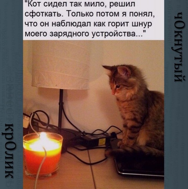 Кучка картинок №0