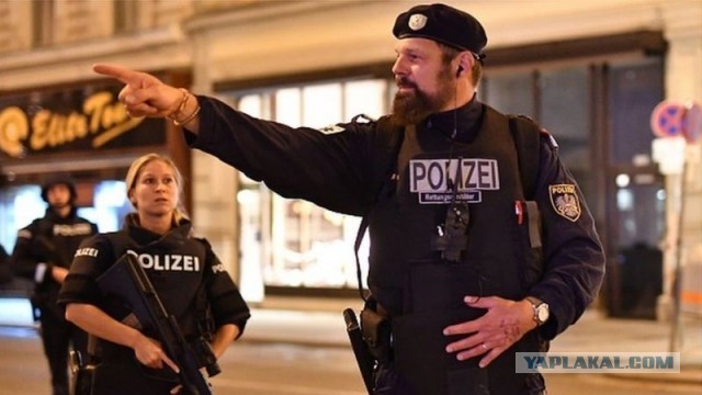 Очевидцы публикуют видео из центра Вены, где, как сообщают местные СМИ произошло нападение на синагогу