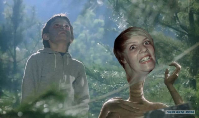 Вытянулась: картинка и 2 жабы