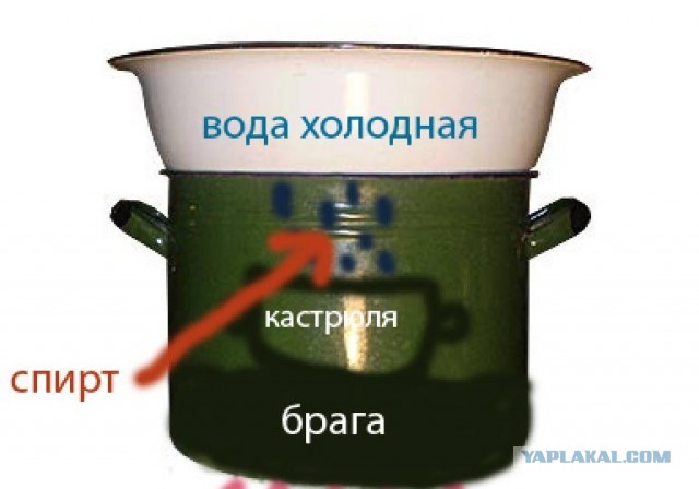 Как бы вы выжили?