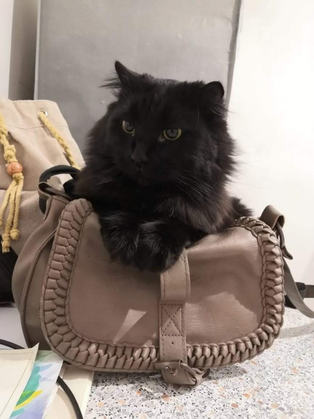 Лифт для души