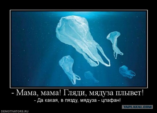 В океане засняли странное существо