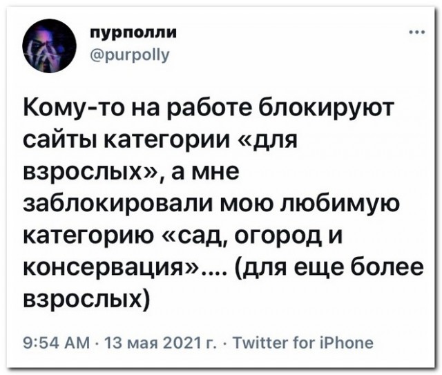 Забавные комментарии из социальных сетей 24.05.21