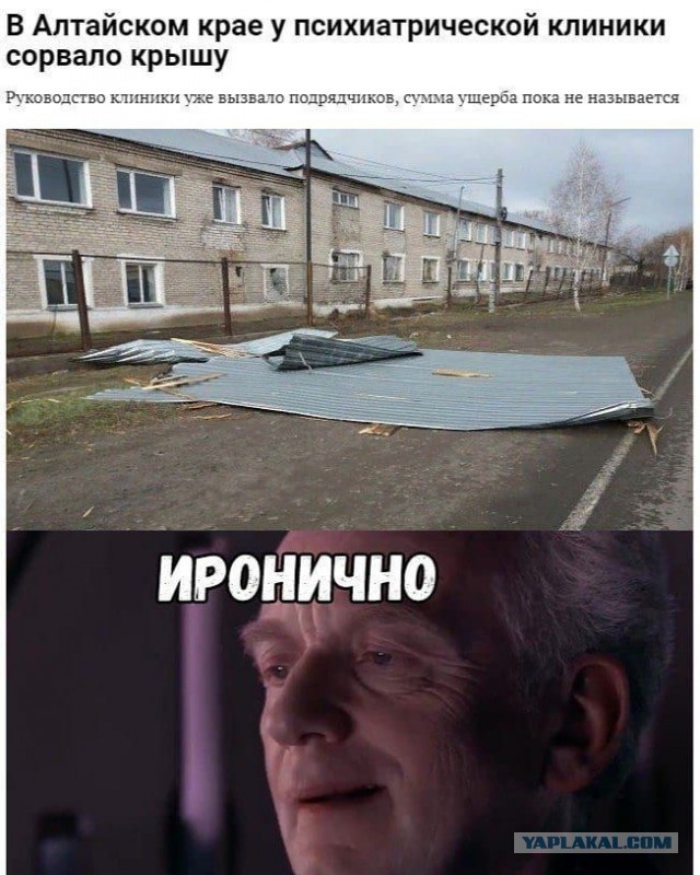 Аморальная деградация