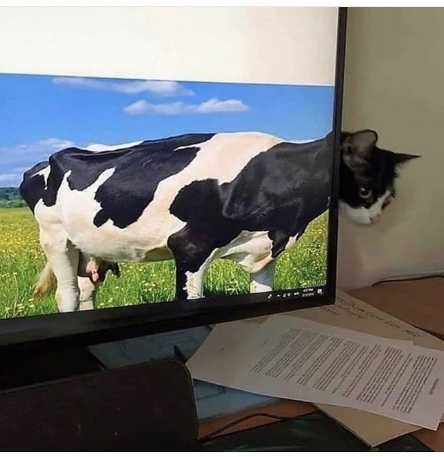 Картинки на вчера