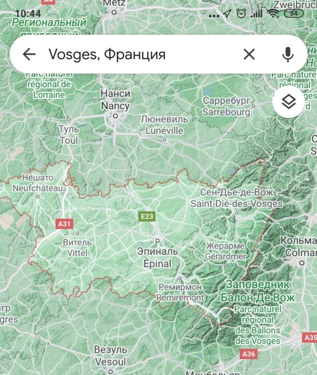 Троим жителям Франции, собравшим 96 кг черники, грозит тюрьма