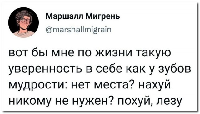 Забавные комментарии из социальных сетей 04.10.21