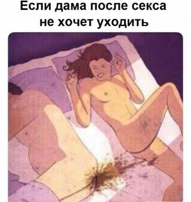 Картинки из рабочего чата 13.11.21