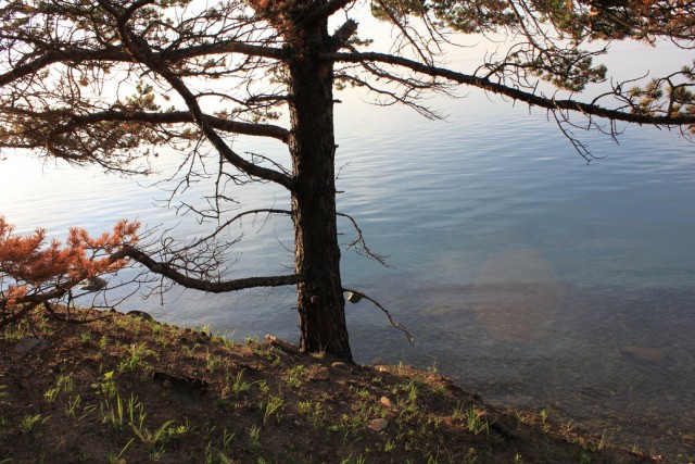 Байкал, 2011