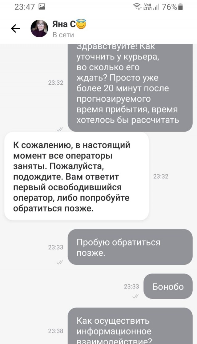 Курьер с шашлыком изчез в метели...