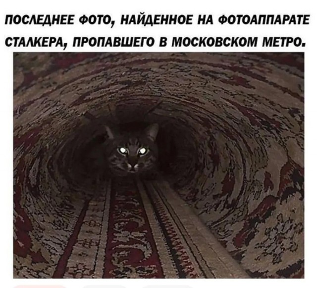 Немного картинок и прочей хреноты Vol. 12