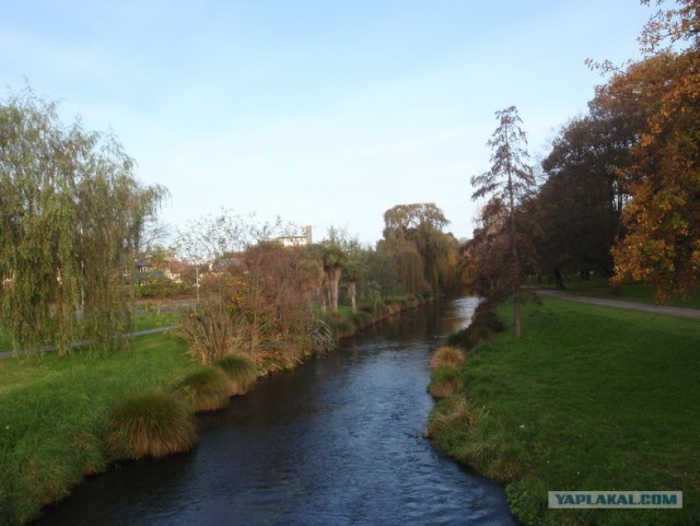 На машине по Новой Зеландии