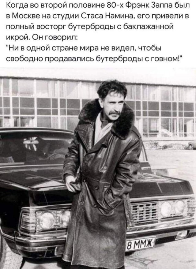 Весёлый полтишок 30.08.22