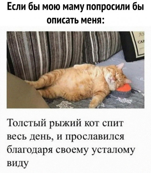 Немного картинок для настроения - 125
