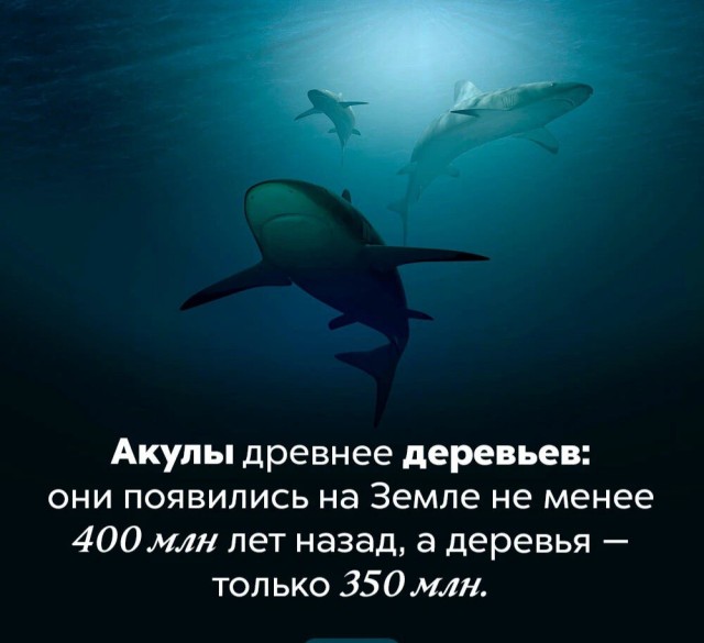 Факты. Просто факты.