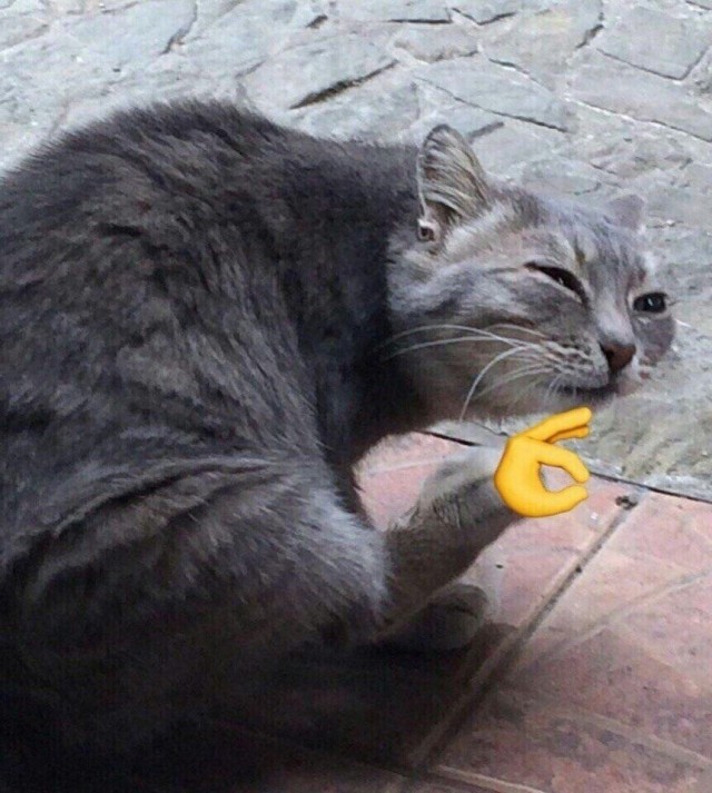 Bellissimo