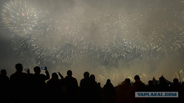 Украинцы попросили Эстонию отказаться от праздничных фейерверков