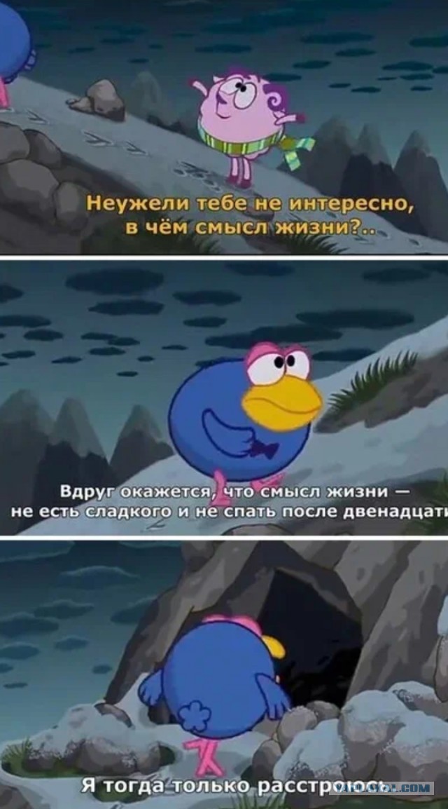 Смысл жизни