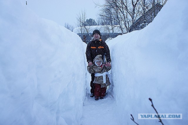Весна на Камчатке