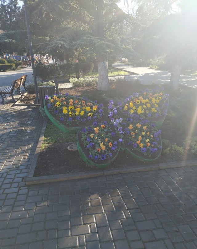 Зимняя Евпатория